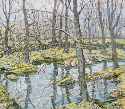 November von Walter Elmer Schofield